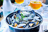  Mussels in Norman cheese sauce (Moules à la crème normande) and cider, served in Dieppe on the Alabaster Coast (Côte d&#39;Albâtre, Cote d&#39;Albatre) in the Seine-Maritime department in the Normandy region of France 