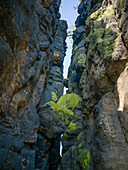 Südaufstieg Lilienstein, Sächsische Schweiz, Elbsandsteingebirge, Sachsen, Deutschland, Europa