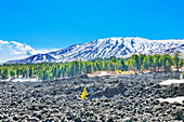 View of lava fields and snow-capped peaks in the distance, Etna, Sicily, Italy