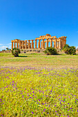  Tempel der Hera oder Tempel E, Archäologischer Park Selinunte, Selinunte, Bezirk Trapani, Sizilien, Italien 