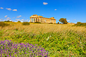  Tempel der Hera oder Tempel E, Archäologischer Park Selinunte, Selinunte, Bezirk Trapani, Sizilien, Italien 