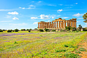 Temple of Hera or Temple E, Selinunte Archaeological Park, Selinunte, Trapani district, Sicily, Italy