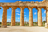  Tempel der Hera oder Tempel E, Archäologischer Park Selinunte, Selinunte, Bezirk Trapani, Sizilien, Italien 