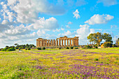  Tempel der Hera oder Tempel E, Archäologischer Park Selinunte, Selinunte, Bezirk Trapani, Sizilien, Italien 