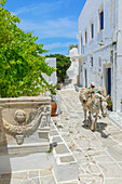 Maultier zu Fuß durch die Dorfstraße von Kastro, Insel Sifnos, Kykladen, Griechenland