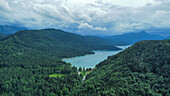 Blick auf den See und Niedernach mit Mautstraße am Südufer, Walchensee, Tölzer Land, Oberbayern, Bayern, Deutschland