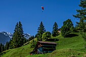  Paraglider over alpine meadows and huts, Alpine mountains in the background, Mürren, Bernese Oberland, Switzerland 