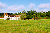 Landschaft des Pays d'Argentan mit Bauernhaus und Pferden auf einer Weide bei Argentan im Département Orne in der Region Normandie in Frankreich