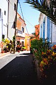  The port town of Valle Gran Rey on the Canary Island of Gomera in the midday sun. 