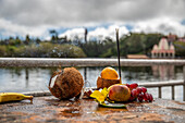  Grand Bassin, offering of the Hindu faith Hindu temple, Mauritius 