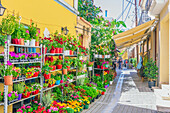 Blumenmarkt in einer Altstadtgasse, Hauptstadt Ägina, Insel Ägina, südwestlich von Athen, Saronischer Golf, Westliche Ägäis, Griechenland