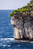 Nahaufnahme der Steilküste an den Calanques zwischen Cassis und Marseille, Provence, Frankreich, Europa