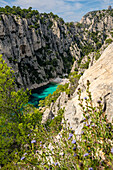 Blick von oben auf die Calanque d'En-vau zwischen Cassis und Marseille, Provence, Frankreich, Europa