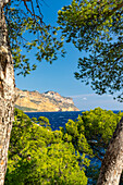 Blick zum Cap Canaille über die Calanque de Port Miou zwischen Cassis und Marseille, Provence, Frankreich, Europa