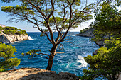 Calanques zwischen Cassis und Marseille, Provence, Frankreich, Europa