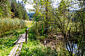  Wooden footbridges through the wetland on the Samerberger Filze hiking trail at Brenkengraben near Törwang am Samerberg in Chiemgau in Upper Bavaria in Germany 