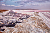 Trockenes Bett Maharloo-See, auch Pink Lake genannt, ein saisonaler kaliumreicher Salzsee, im Winter. Provinz Fars, Iran.