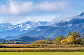 Herbstmorgen im Murnauer Moos, Murnau, Bayern, Deutschland, Europa