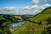 Blick über die Weinberge von Kaub und in das Rheintal, im Hintergrund Schönburg und Liebfrauenkirche in Oberwesel, Oberes Mittelrheintal, Rheinland-Pfalz, Deutschland