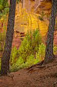  Ochre educational trail in the former ochre quarry near Roussillon, Vaucluse department; Provence-Alpes-Côte d&#39;Azur, France. 