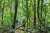 Wandern im Wald, Französisch Guayana, Überseedepartement Frankreichs