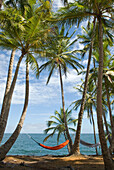 Chemin de la Pointe des Cayes, Ile Royale, Iles du Salut, Französisch Guayana, Überseedepartement Frankreichs