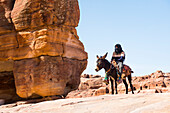 Bedouin with a donkey, used for the transport of material or the walks of tourists, Historic and archaeological site of the Nabataean city of Petra, UNESCO World Heritage Site, Jordan, Near East, Southern Levant, West Asia