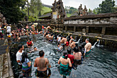  Menschen stehen Schlange, um in der heiligen Quelle eine rituelle Reinigung vorzunehmen. Tirta-Empul-Tempel, Tampaksiring, Bali, Indonesien. 