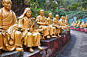  Statuen von Arhats (buddhistisches Äquivalent von Heiligen) auf dem Weg hinauf zum Kloster der Zehntausend Buddhas (Man Fat Sze). Sha Tin, New Territories, Hongkong, China. 