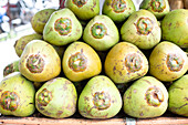 Pune, India, Coconutm Fresh, coconut water