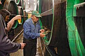 Guided tour, Pilsner Urquell Brewery, Pilsen, Czech Republic