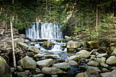  Dziki Wodospoad, Wilder Wasserfall, Karpacz, Riesengebirge, Karpacz, Sniezka, Niederschlesien, Polen 