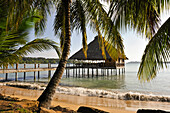  Bar und Restaurant auf Stelzen, Playa Tortuga Hotel, Colon Island, Bocas del Toro Archipel, Republik Panama, Mittelamerika 