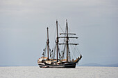 Schoner Thor Heyerdahl vor der Küste der Insel Colon, Bocas del Toro-Archipel, Republik Panama, Mittelamerika