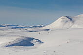  View of Mount Kolla in winter, Dovrefjell-Sunndalsfjella National Park, Norway 