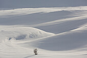 Verschneite Berglandschaft, Dovrefjell-Sunndalsfjella-Nationalpark, Norwegen