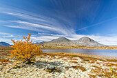 Blick auf den Berg Stygghoin im Herbst, Doraldalen, Rondane Nationalpark, Oppland, Norwegen