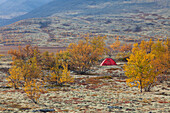 Zelt im Døråldalen, Rondane Nationalpark, Dovre, Oppland, Norwegen