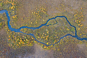  Stream in the moor in autumn, Dalarna, Sweden 