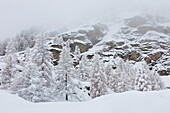 Berglandschaft, Lärchen im Schnee, Winter, Nationalpark Gran Paradiso, Aostatal, Italien