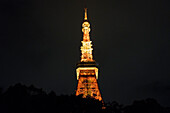 Tokio Tower in der Nacht, Tokio, Japan