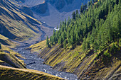  Bach Ova da Trupchun, Val Trupchun, Swiss National Park, Graubünden, Switzerland 