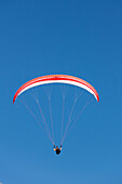 Gleitschirmflieger, Paragliding, an der Ostseeküste, Provinz Schonen, Schweden