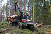 Harvester-Waldmaschine transportiert Bäume, Darlana, Schweden