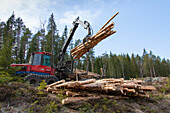 Harvester-Waldmaschine transportiert Bäume, Darlana, Schweden