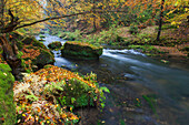  Kamnitz Gorge, autumn, Bohemian Switzerland National Park, Czech Republic 