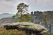 Blick zum Felsen Kleine Gans am Raaber Kessel, Elbsandsteingebirge, Nationalpark Sächsische Schweiz, Sachsen, Deutschland