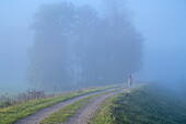  Young woman on a foggy autumn morning at the Ammer river near Weilheim, Bavaria, Germany 