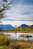 Herbst an den Sieben Quellen, Eschenlohe, Bayern, Deutschland, Europa