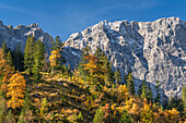  Colorful autumn in the Karwendel, Hinterriß, Karwendel, Tyrol, Austria, Europe 